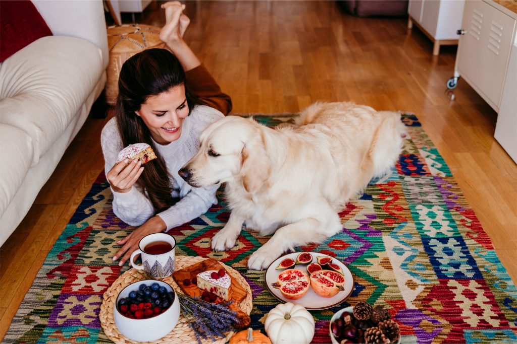 Exploring Human-Grade Diets for Pets: Benefits and Innovative Tools