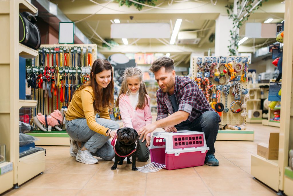 Top Boutique Pet Stores Dedicated to Dog Health and Wellbeing